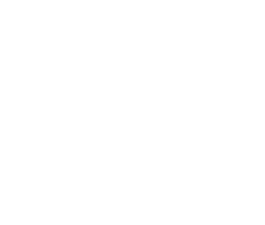 Gryphon Audio logo